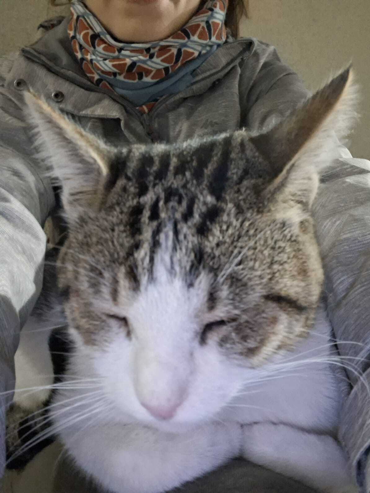 586831a9-20fb-4f29-a6f6-816896b0879e