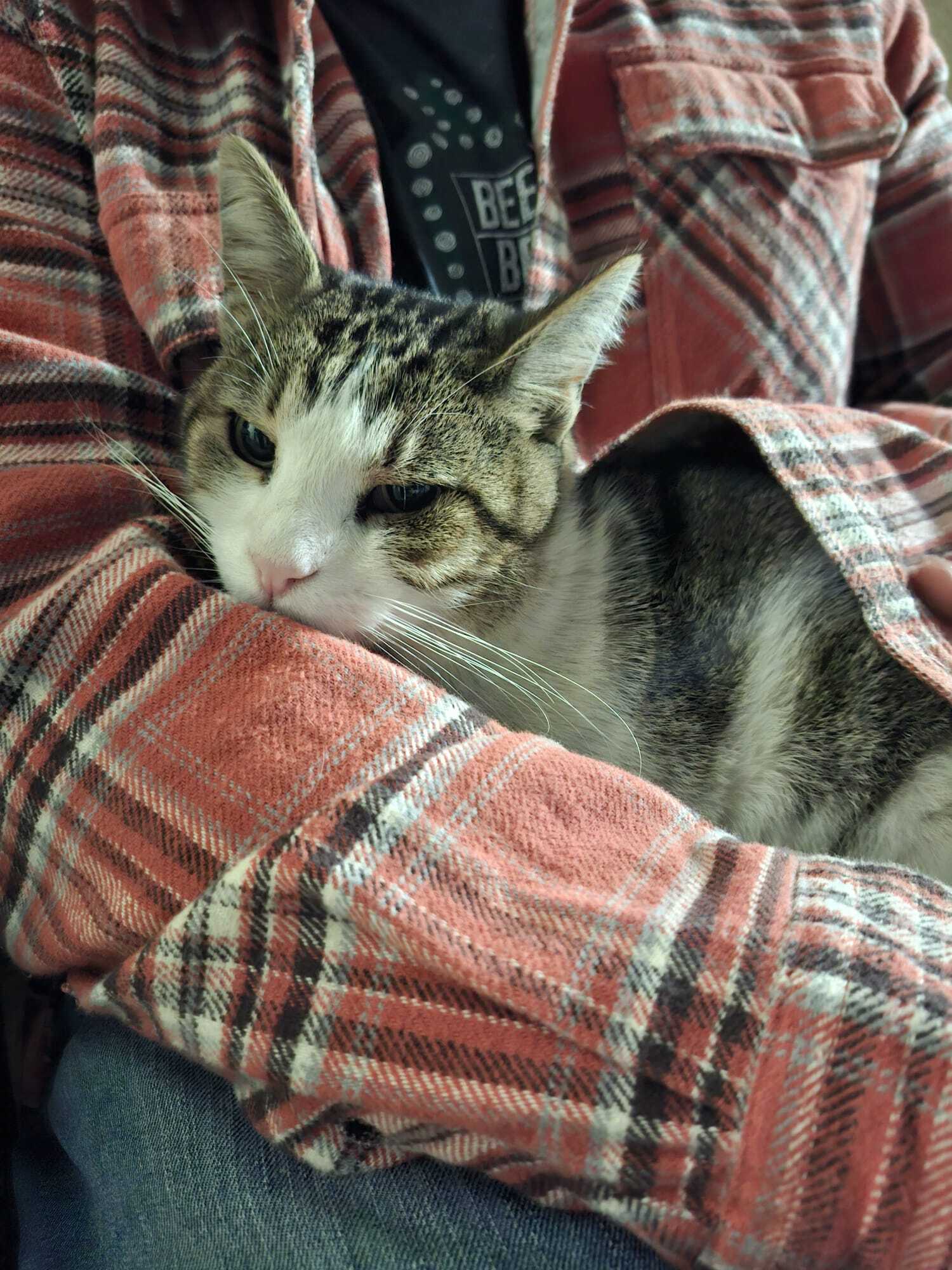 WhatsApp Image 2025-09-30 at 15.23.56