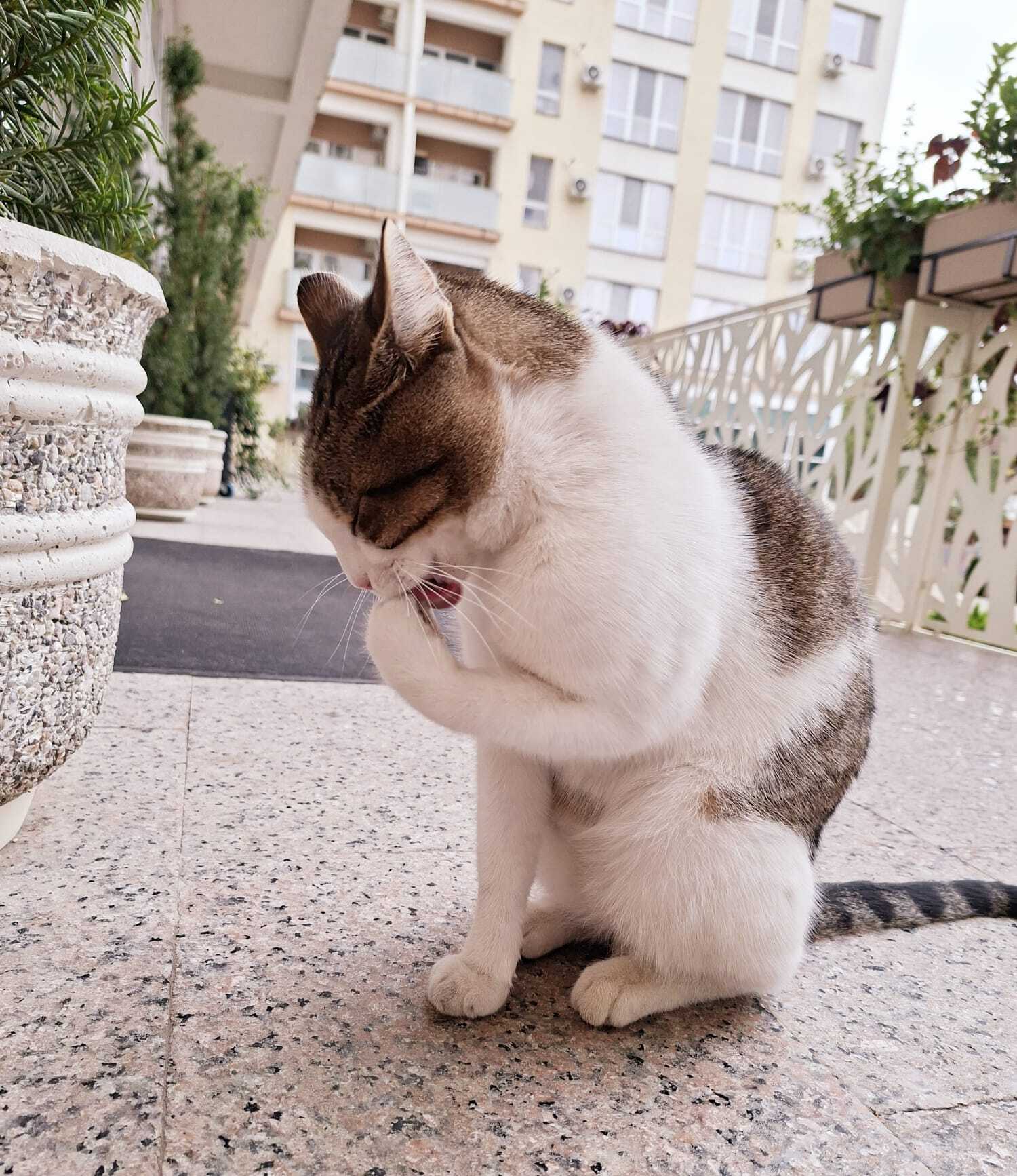 WhatsApp Image 2025-10-01 at 15.45.01