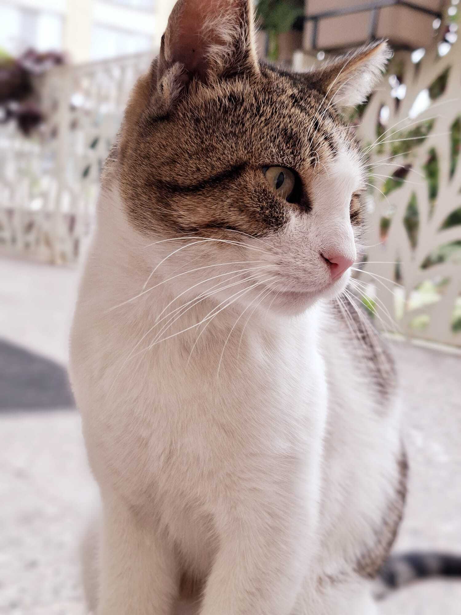 WhatsApp Image 2025-10-01 at 15.45.02 (1)