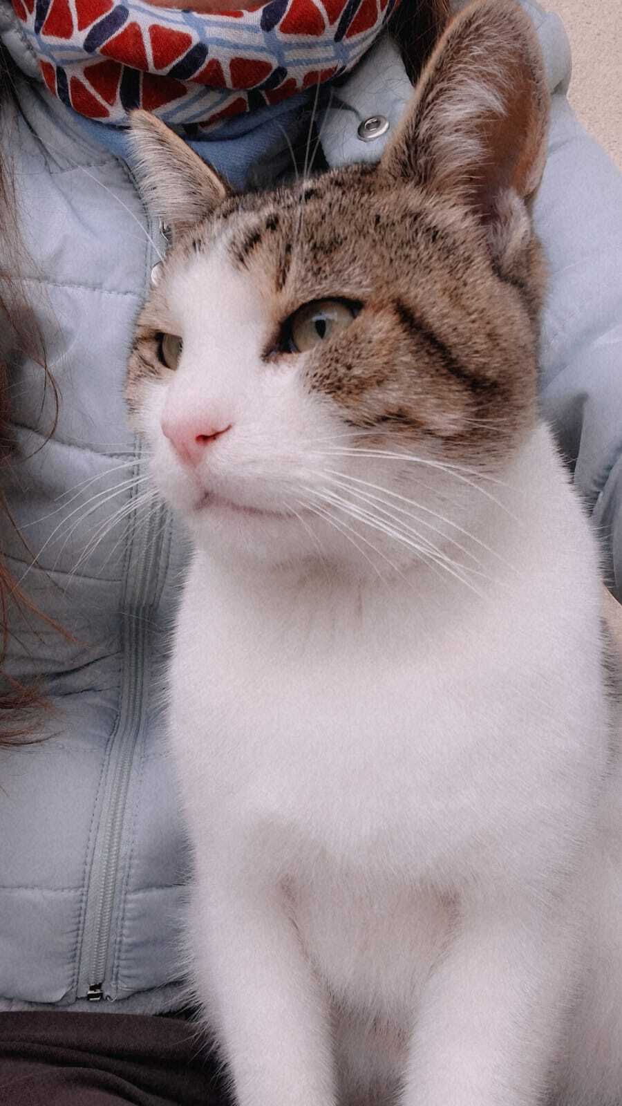 WhatsApp Image 2025-10-01 at 15.45.03 (2)