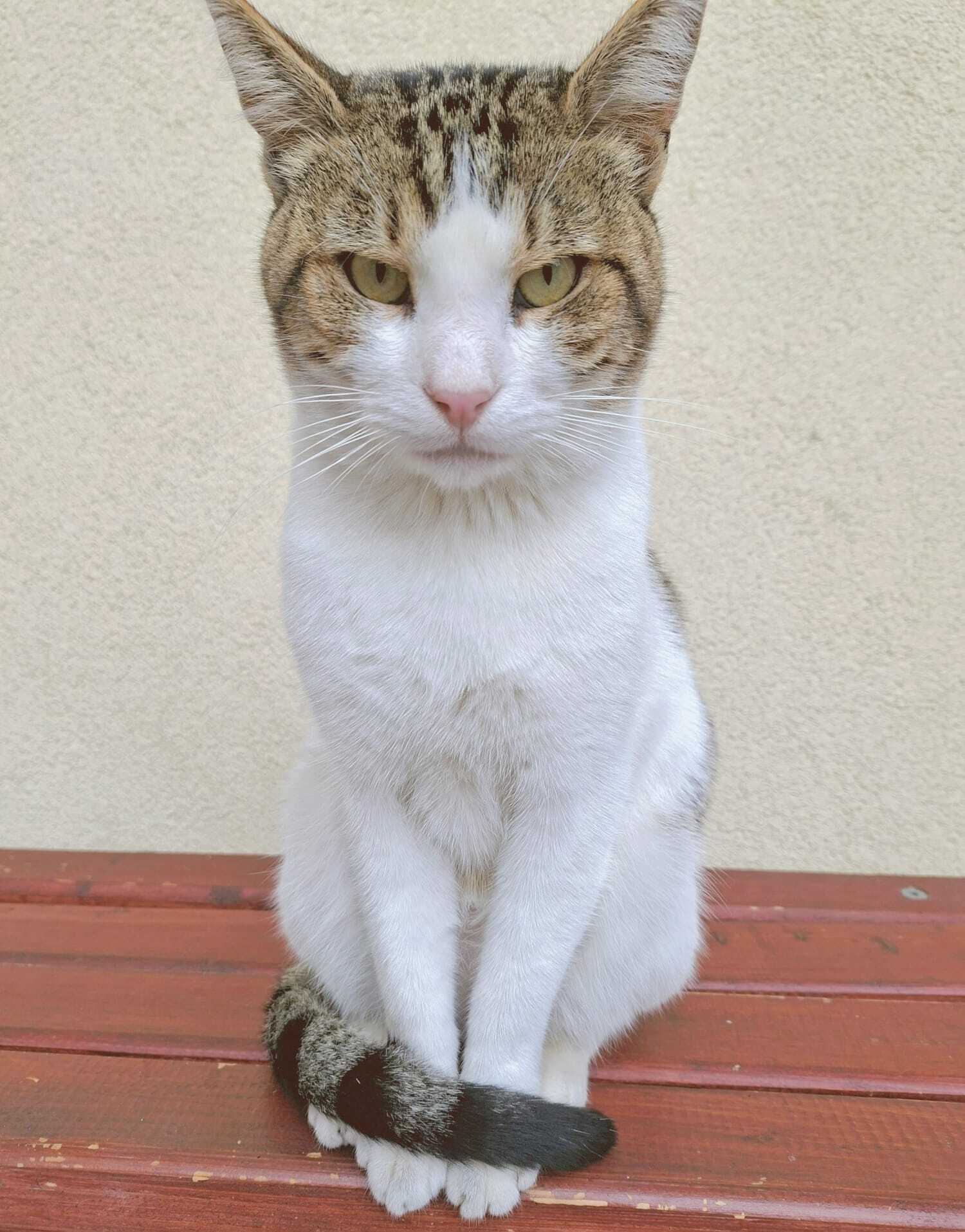 WhatsApp Image 2025-10-01 at 15.45.06 (4)