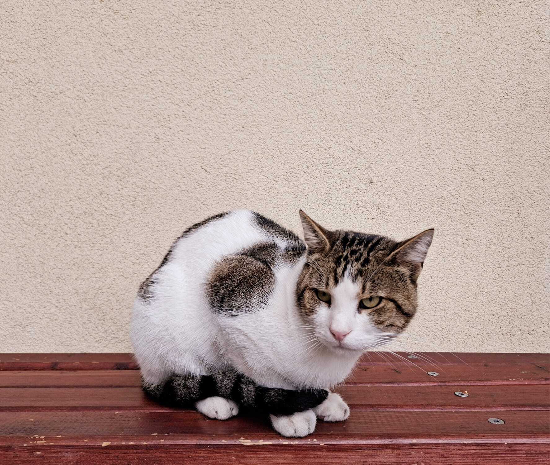 WhatsApp Image 2025-10-01 at 15.45.07 (5)